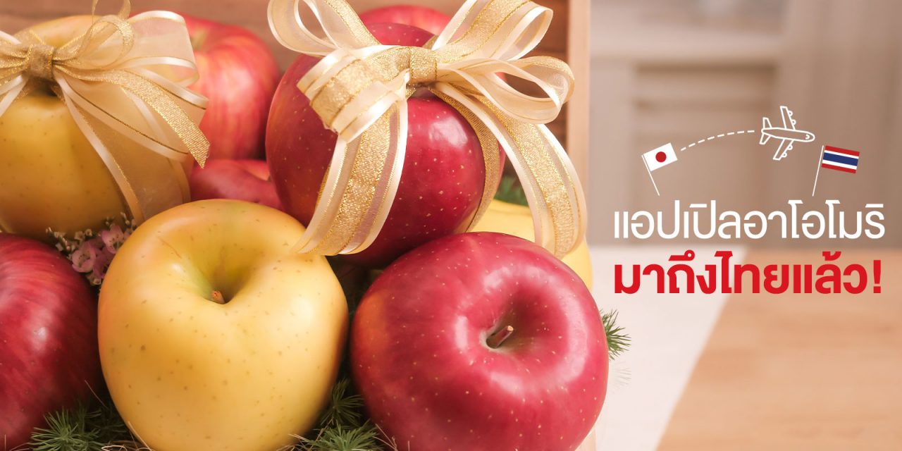 ‘แอปเปิลอาโอโมริ’ ราชาแอปเปิลเกรดพรีเมียมจากญี่ปุ่น จัดกิจกรรมรับฤดูกาลใหม่ ส่งตรงถึงไทยแล้ว