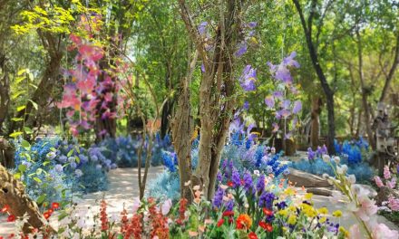 งานเทศกาลฤดูร้อน Nasatta Summer Flower Carnival ครั้งที่2 ที่ ณ สัทธา อุทยานไทย จังหวัดราชบุรี งานจัดแสดงประติมากรรมดอกไม้ประดิษฐ์สุดอลังการ